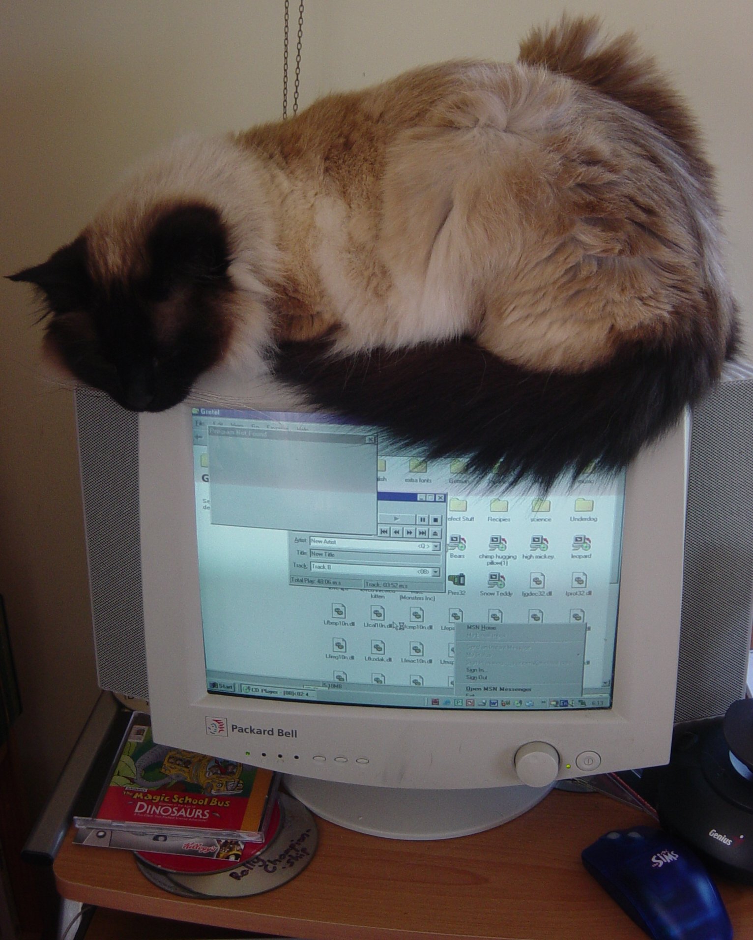 If I'm on the computer, Baby is too! literally!! =)