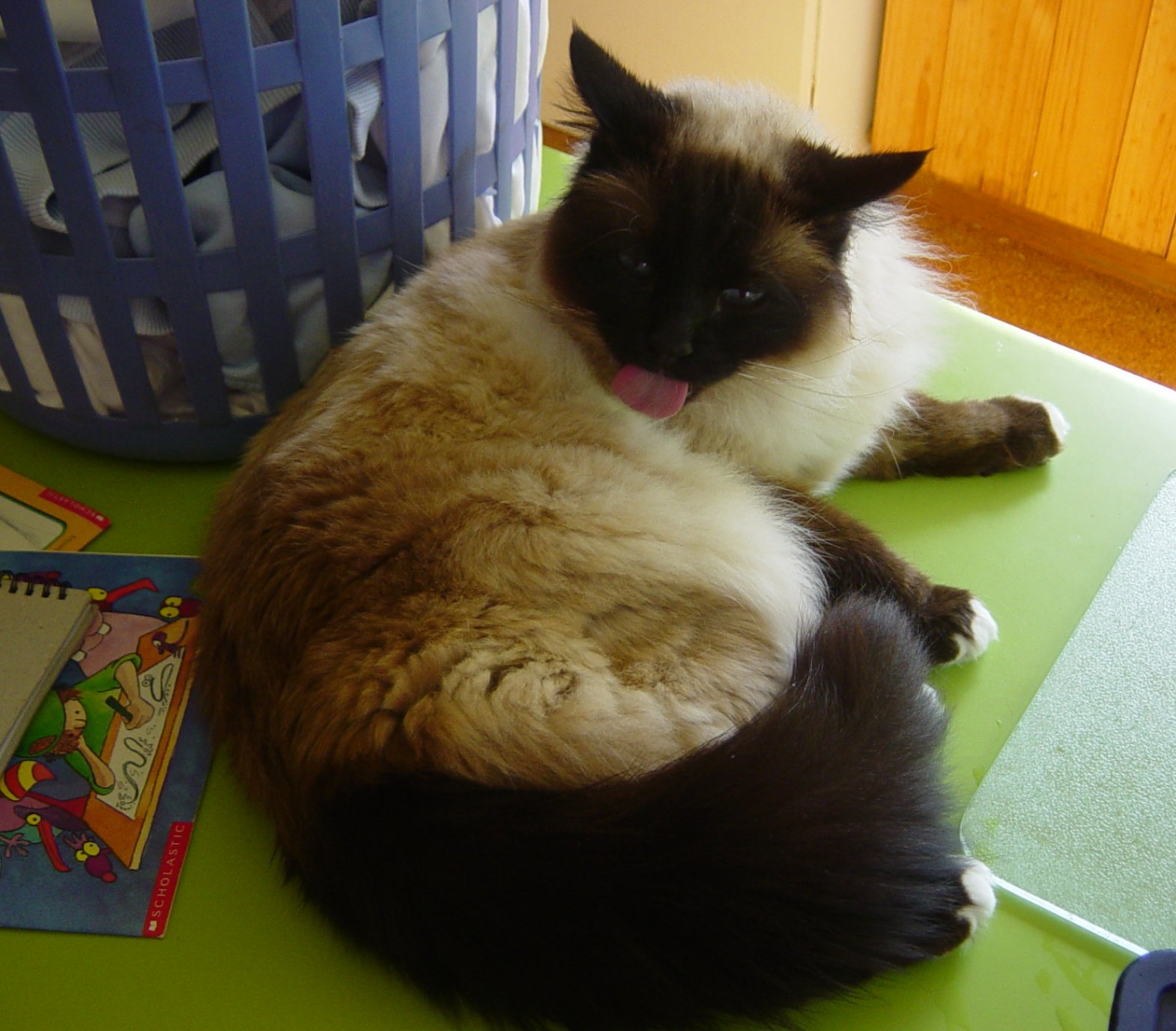 Baby poking his tongue out at me! Nah not really I just caught him mid-wash =)
