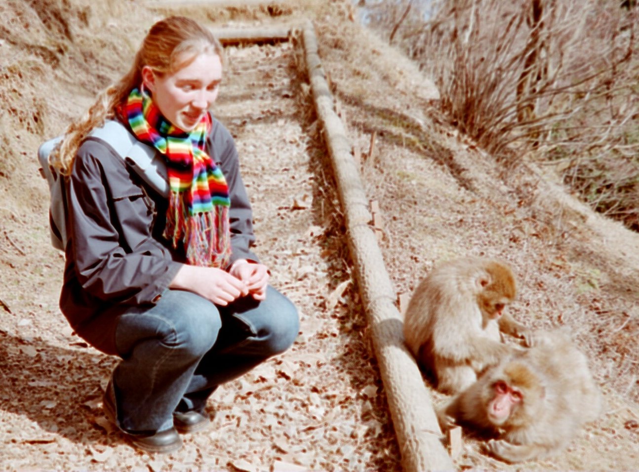 Me with some monkies in Kyoto, Japan
