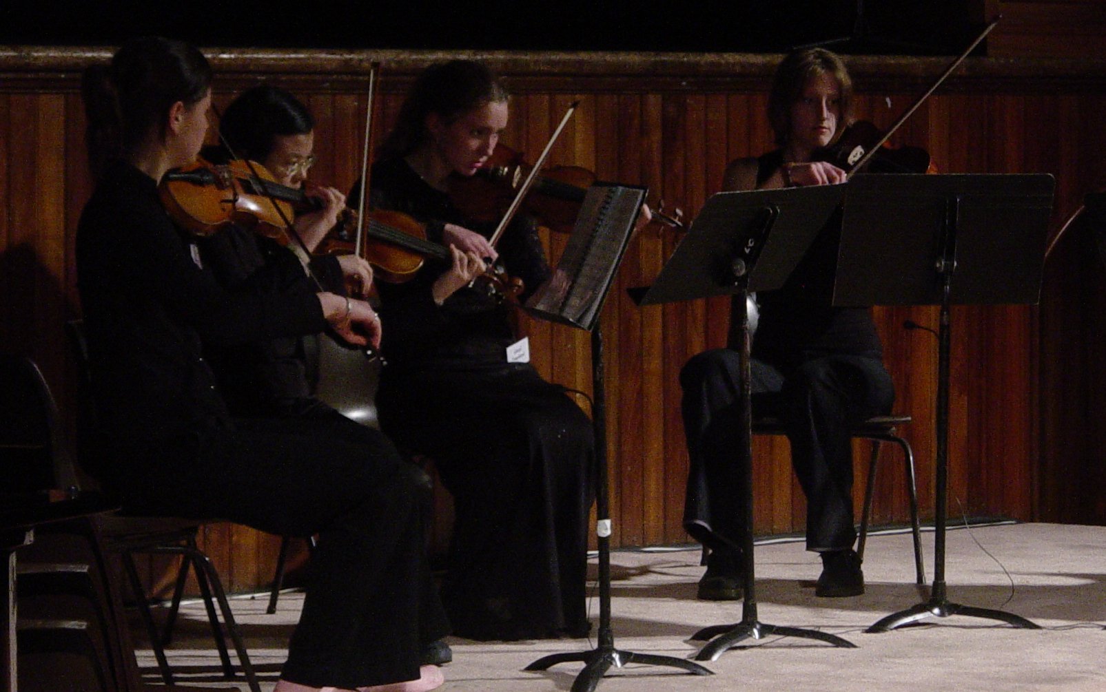 Close up of the string Quartet